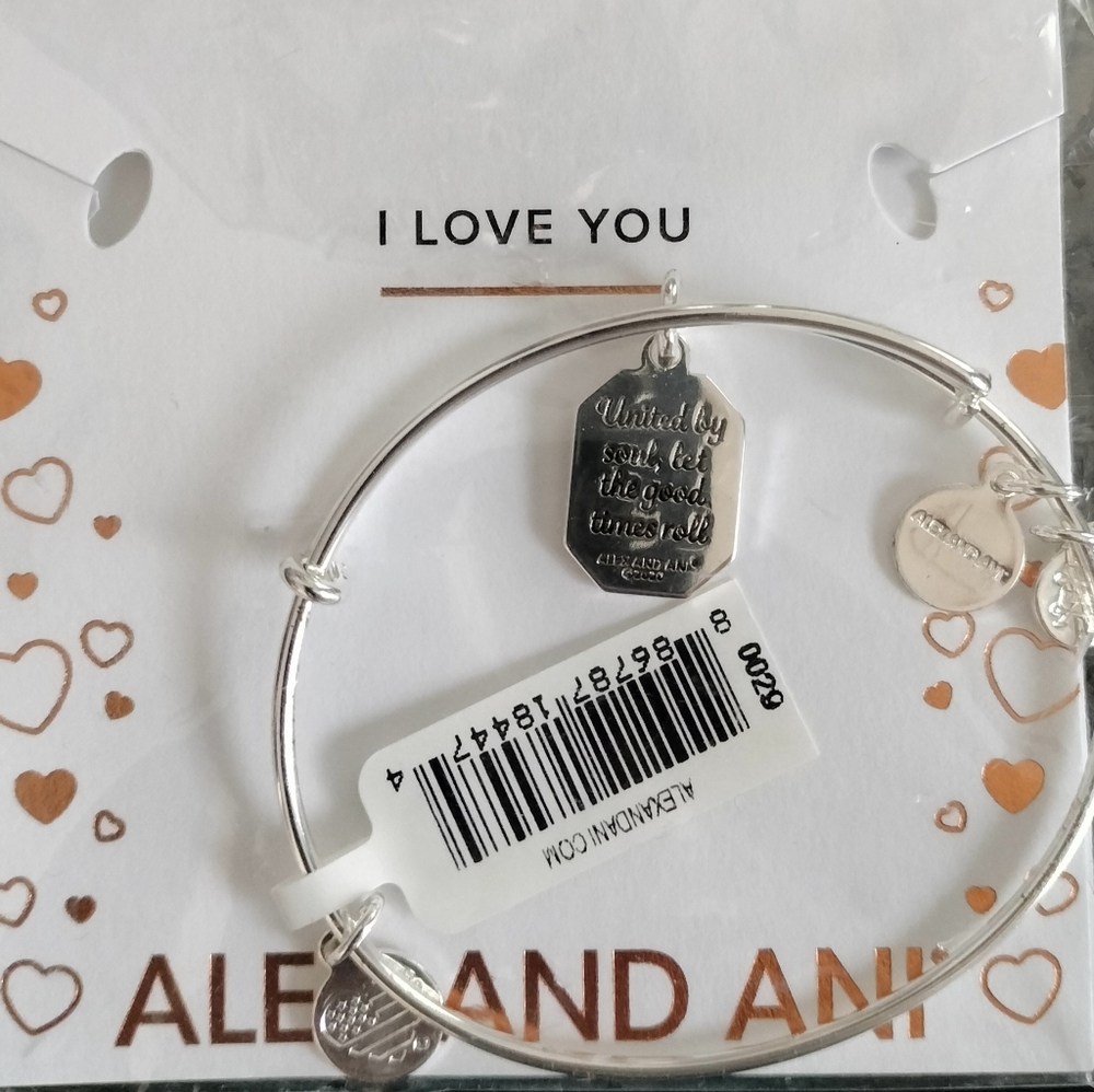 Alex and Ani Silver Bangle Bracelet